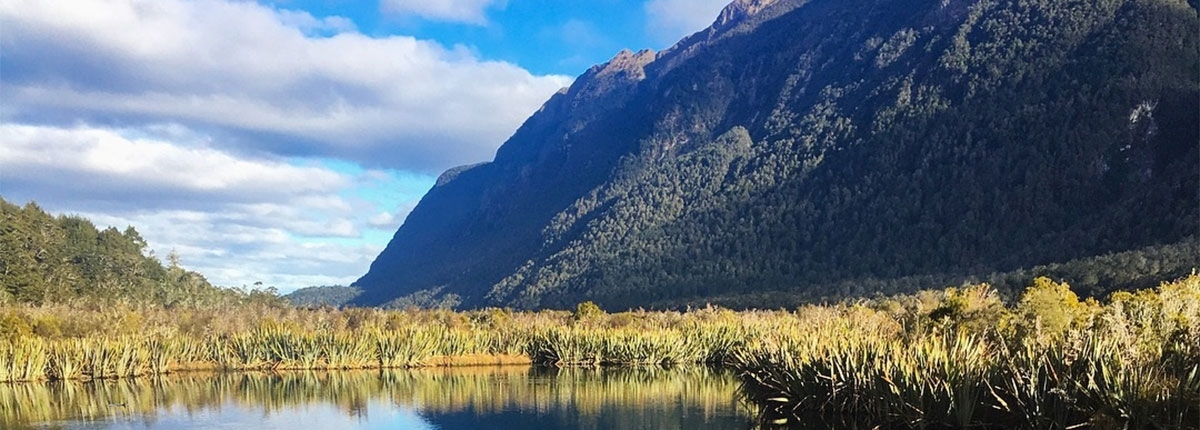 A mountain range rising above marshy scenery